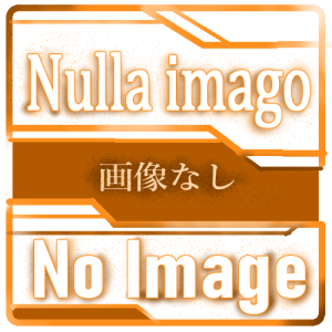 �摜������